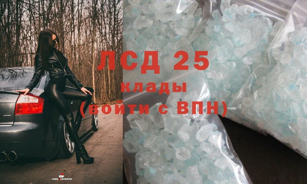 стафф Алзамай