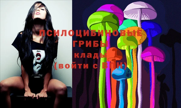 таблы Алексин
