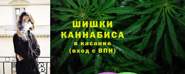 стафф Алзамай