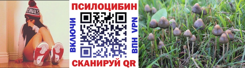наркота  Армянск  маркетплейс формула  Псилоцибиновые грибы ЛСД 
