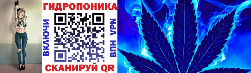 мега ТОР  купить наркотик  Армянск  площадка Telegram  Каннабис семена 